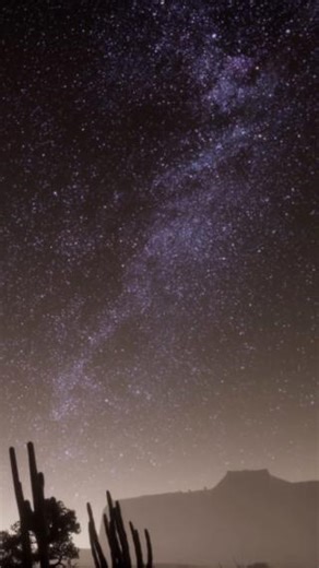 2.3K views · 42 reactions | Wanderlust can lead us in many...