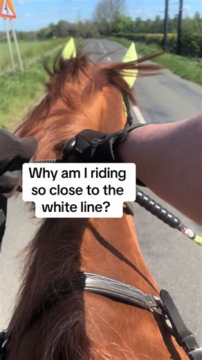 Defensive riding, lane domination …staying alive! #horse #equestrianlife #horseriding #ukroads