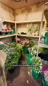 This is Toronto's 70-year-old flower shop 💐 | blogTO