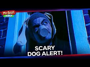 The Funniest Way to Deal with Noisy Cats! | Mr Bean Live Action Season 1 | Mr Bean World