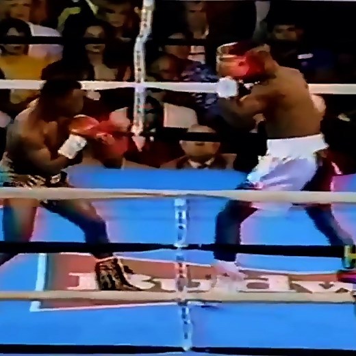 Terry Norris vs Meldrick Taylor Highlights | Anita Skorgan