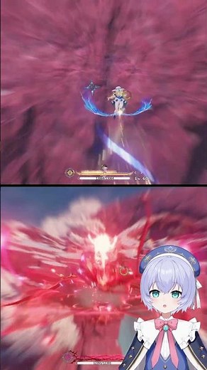 Phoebe vs Camellya | Wuthering Waves