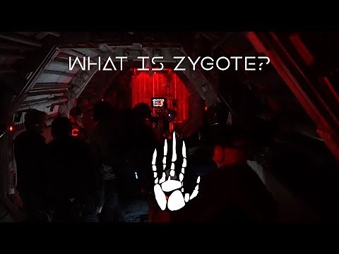 Oats Studios - What is Zygote?