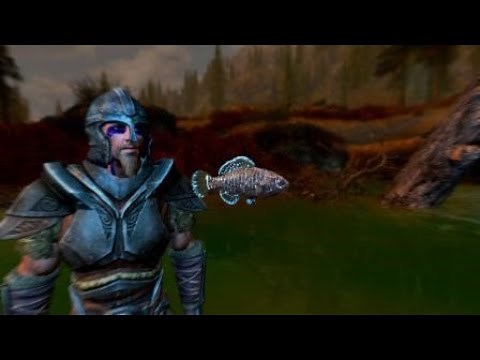 SKYRIM - PYGMY SUNFISH (location walkthrough commentary)