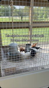 When I first started raising chickens, I chose sand for the run. I’d done my research, and everyone made it sound like the gold standard—clean, tidy, easy to rake. Plus, it looked beautiful in photos. But no one really tells you this: for sand to actually work, it’s a daily chore. It’s like scooping a cat’s litter box—but way bigger, and with poop everywhere. Baked into the sand by the sun. Every. Single. Day. It didn’t take long before I was out there multiple times a day so it didn’t overwhelm