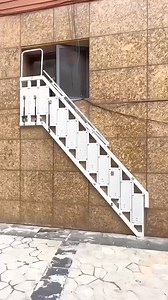 699K views · 437 reactions | 狼 Shhh... Secrets revealed! ✨...