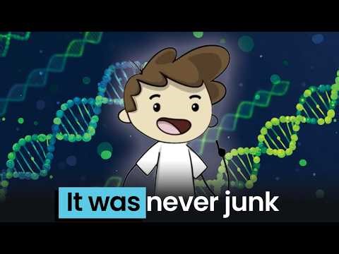 Scientists Said 98% of Your DNA Was Useless (They Were Wrong)