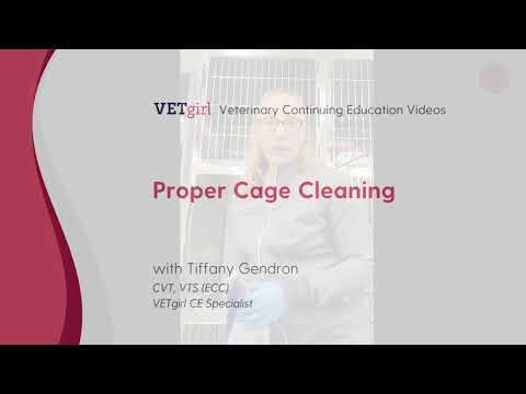 How to Properly Clean a Veterinary Cage in Veterinary Medicine
