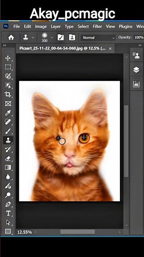 Unlock the Magic of Clone StampTool in Photoshop! 2026 Easy Tutorial