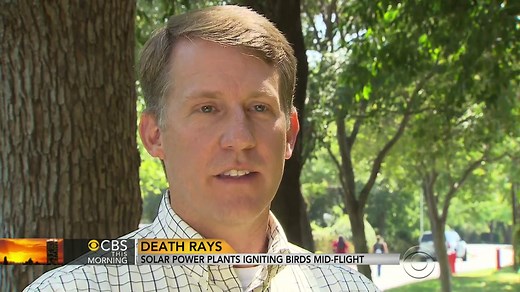 California solar power plants ignite birds mid-flight