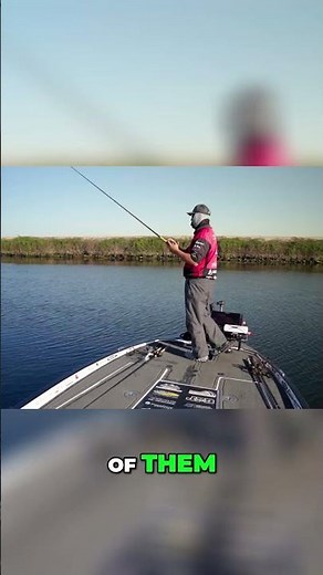 Varying Lure Weights for Fishing Success #shorts