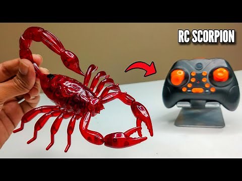 RC Realistic Scorpion Prank Gadget Unboxing & Testing - Chatpat toy tv