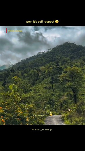 pov: it's self respect ❤️ mandyali language (himachal pradesh) ❤️