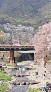 Embark on a scenic adventure with Hankyu Railway from Osaka to Kyoto, Japan, and immerse yourself in the breathtaking beauty of cherry blossoms passing by. The 42-minute journey showcases charming towns and villages, offering a glimpse into traditional Japanese life and culture. Hop on this extraordinary ride, marvel in this season’s pink-hued beauty and stay at パークホテル京都御池 Park Hotel Kyoto. Book your stay here - https://bit.ly/3SQpAIl #ParkHotelGroup #TravelWithPHG #ParkHotelKyoto #TravelJapan |