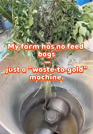 Transforming Waste into Livestock Feed with Innovative Machines