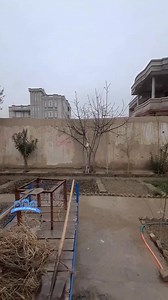 210K views · 3.8K reactions | #حویلی_فروشی کود_F345 موقعیت: مزارشریف...