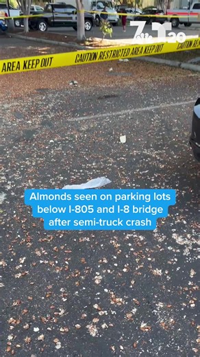 After the deadly semi-truck crash early Tuesday, almonds were seen sprawled over the I-805 freeway and below to the parking lots. Multiple lanes on southbound I-805 were still closed as of 12 p.m. as crews cleaned up the debris 🔗More details on this developing story here: http://on.nbc7.com/Y2pkS0b | NBC 7 San Diego