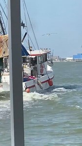 Want something to do while in Galveston? Start your weekend with Baywatch Dolphin Tours! The Saturday and Sunday morning tours offer a unique blend of adventure, laughter, and learning. Why do I say Saturday and Sunday morning? Because that’s when you’re likely to see us in action! Baywatch gets you up close and personal with dolphins, our shrimp boat and sharing our story. They encourage you to give a group “Yiiii Haw and HEY POPS!”. Join in on the fun and don't miss out on an opportunity to cr