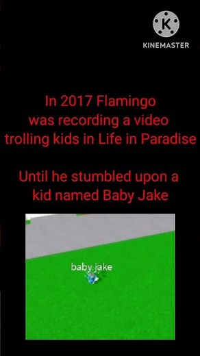 Scariest Flamingo Incidents - Part 1