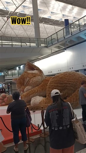 A massive/giant ginger cat at HK International Airport #giant #art #cat