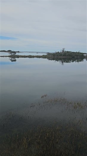 Discover the Scenic Trails of Assateague Island Hiking and Running Through Coastal Beauty