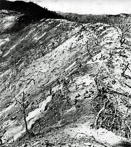 Battle of Triangle Hill - Alchetron, the free social encyclopedia