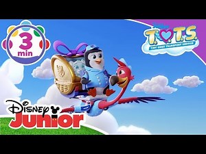 T.O.T.S. | Music Compilation delle canzoni migliori - Su Disney Junior