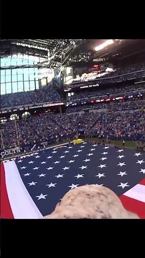 Soar with Challenger during the national anthem! #challengerthebaldeagle #americaneaglefoundation