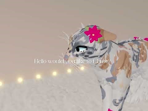 THE STORY WITH THE SHE AND TOM~