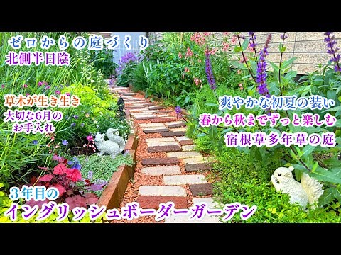 【爽やかな初夏のイングリッシュボーダーガーデン＊北側半日陰の庭づくり】【宿根草多年草＆ハーブで彩るローメンテナンスな庭】【植物を元気に♪６月のお手入れ】ガーデニング/ハーブ/ダリア