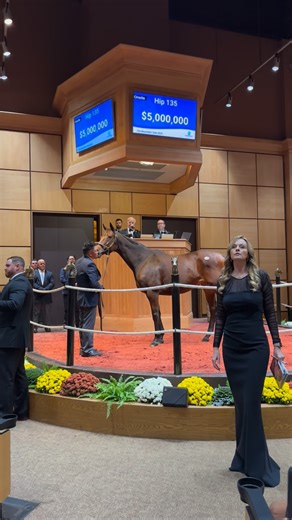 Fasig-Tipton | Reigning Broodmare of the Year PUCA sells for $5,000,000 at The November Sale! Puca is the dam of three consecutive G1 winning colts: 2023... | Instagram