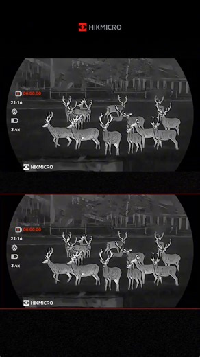 The next generation of thermal monoculars from HIKMICRO is almost here 👀 Featuring cutting-edge shutterless technology for smoother, faster performance, this new release delivers pro-level value without the pro-level price tag. Keep your eyes peeled... #HIKMICRO #HIKMICROHunting #HIKMICRONew #RewritingEntryLevel #thermalmonocular | Night Vision Australia