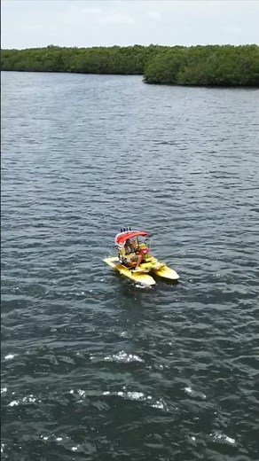 Playing with Water Toys & CraigCat 🏝️ #thekeylargodude #craigcat #keylargo