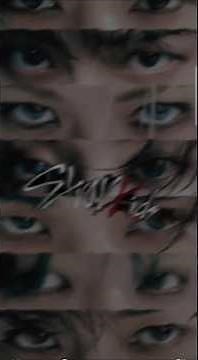 SKZ Oddinary trailer FMV