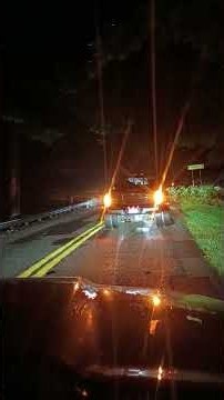 Stuck behind the tree as it is being cut out