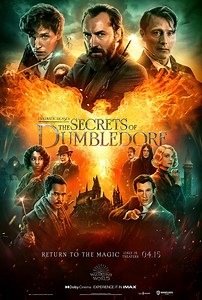 Animales fantásticos: Los secretos de Dumbledore - Película 2022 - Cine.com