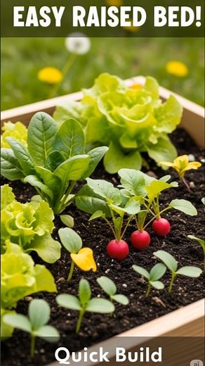 Easy Raised Garden Bed Build Tutorial