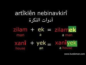 Learn Kurdish Kurmanji Language (Lesson 9: Articles)