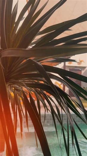 ✨ Naghahanap ka ba ng AFFORDABLE, COZY & May overlooking view na resort sa Tagaytay? Perfect spot para sa big celebrations mo ngayong 2026! — Welcome to Villa Tropicana! 🎉 PERFECT FOR GETAWAYS! ✔ Family gatherings ✔ Barkada outings ✔ Small celebrations ✔ Staycations near Tagaytay ✔ Private events and parties PLUS: ✔Outdoor Entertainment ● Videoke ● Outdoor Lanai ● Roof Deck Area ● Side Pool Cottage with table and chairs ● Relaxing / Chill Areas ● Duyan (Hammock) 📍 Blk 15 Gabriel Heights, Brgy.