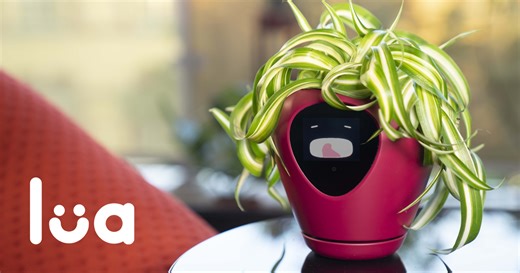 Lua, the smart planter with feelings! by Vivien Muller - Indiegogo