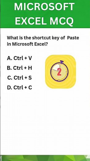 Excel MCQ