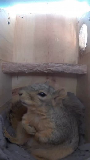 43K views · 8.7K reactions | I think Emma could really use a “Do Not...