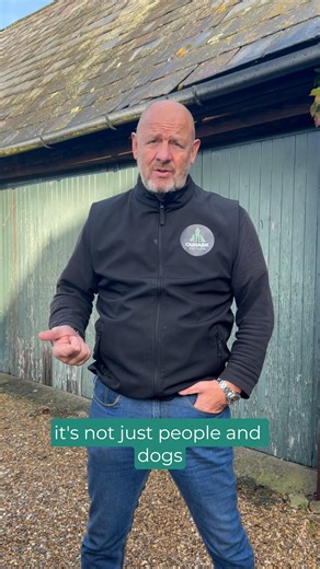 3 Top Tips for Puppy Socialisation! 1️⃣ Start early... you can carry your pup out before their vaccinations so they still experience the world safely. 🌍 2️⃣ Socialisation isn’t just meeting dogs and people. It’s about introducing places, sights, sounds and environments in a calm, positive way. 3️⃣ Don’t let your puppy greet every dog they see. This can create frustration later when they can’t say hello. Teach them to relax around other dogs instead. 🐕‍🦺 Building good habits now sets your pupp