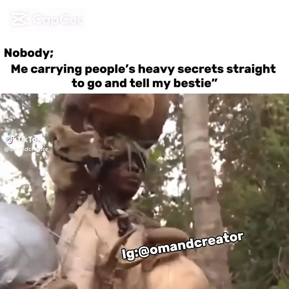 Funny Ostrich Chasing People: A Hilarious Display