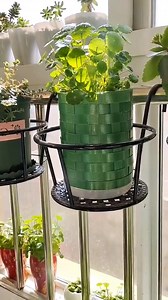 Homemade flowerpot #gardening #plants #plant | Seed Connect