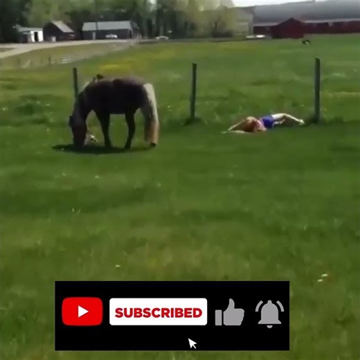 Best Funny Fails 4 😂😂 #trendingshorts #shortvideo #funny video.