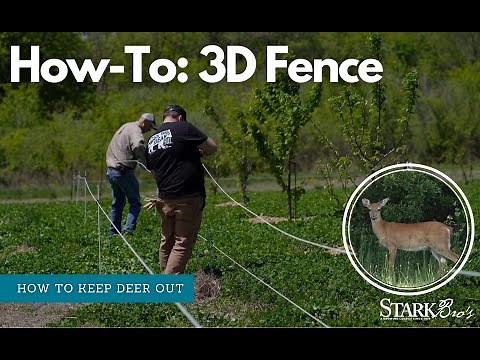 Step-by-Step Guide: Setting Up a 3-D Electric Fence for Deer Protection