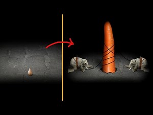 Evoluindo uma SEMENTE até virar... não sei