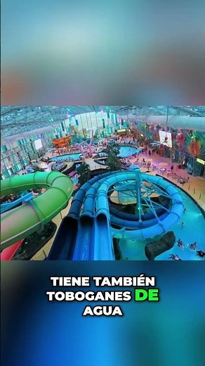 ¡Parque OWA en Foley! ¡Diversión Familiar! 🎢💦🍔 #shorts