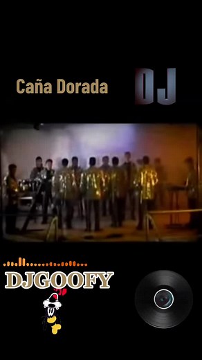 #djgoofy🇲🇽 #cañadorada #cumbiasdeantaño #cumbiaspoblanas #cumbias #sonideros #tepito